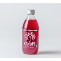 Kombucha Kanopé logo - Similar company to Bruusta Kombucha