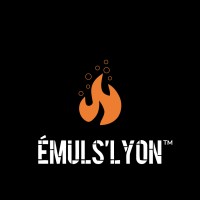 Émuls'Lyon logo - Similar company to Wall King