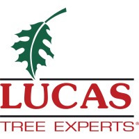 Lucas Tree Expert Co logo - Similar company to Lewis Tree Services