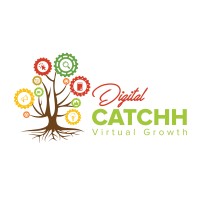 Digital Catchh logo - Similar company to Lilybee Ltd