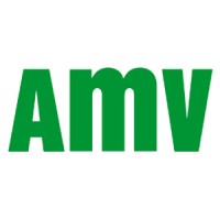 AMV Assurance logo - Similar company to Edglobex