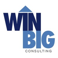 WinBig Consulting logo - Similar company to Winbig Consultancy