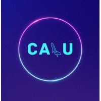 Calu Agencia de Marketing y Comunicación logo - Similar company to Calu