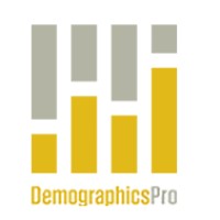 DemographicsPro logo - Similar company to Statsocial