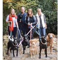 4 Paws Recruiting, LLC logo - Similar company to Helping Hands Charitable