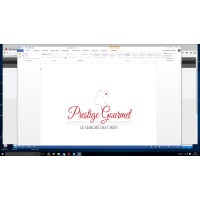 PG logo - Similar company to Vision Engineering