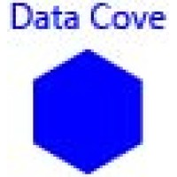 Data Cove logo - Similar company to Datacove