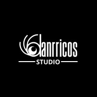 Danrricos Solutions logo - Similar company to Southern Dynamix