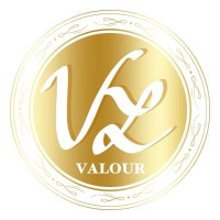 Valour logo - Similar company to Valour