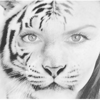 TIGRESS FILMS logo - Similar company to Tigress