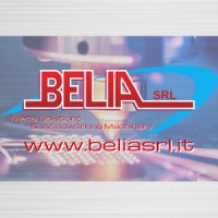 BELIA SRL logo - Similar company to Bellon Srl