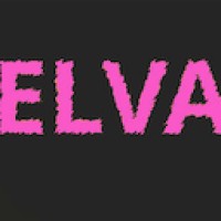 Elva logo - Similar company to Elva
