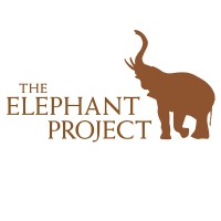 The Elephant Project logo - Similar company to The Elephant Project