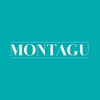 Montagu logo - Similar company to Digitalization For Sustainability