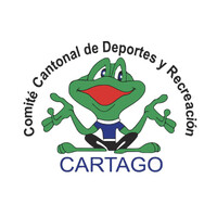Comité Cantonal de Deportes y Recreación - Cartago. logo - Similar company to 01Zero Group