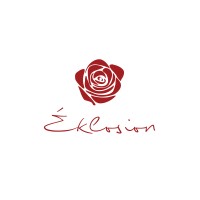 Eklosion - Coaching - Pratiques Narratives - Conférences logo - Similar company to Parcelchain