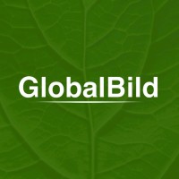 Global Bild logo - Similar company to Metamor