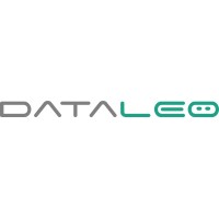 DataLeo logo - Similar company to Vptl - Management De Transition