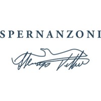 Spernanzoni S.r.l. logo - Similar company to Creative Mess Adv S.R.L.