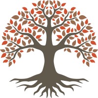 Racine Patrimoine logo - Similar company to Perf360 - France