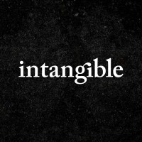 Intangible logo - Similar company to Intangibles Assets Design