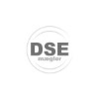 Danske Selvstændige Ejendomsmæglere | DSE logo - Similar company to Werner Boliger