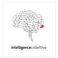 Intelligence Collettiva logo - Similar company to Mindstorm