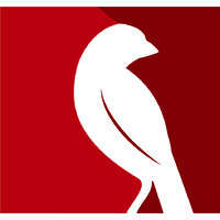 Robin Marketing Group