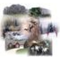 Kennedy Sarff Real Estate