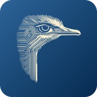 AI Safety South Africa logo - Similar company to National Institute For Theoretical And Computational Sciences