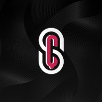 Saral Çelik logo - Similar company to Aşan Çelik Yapı