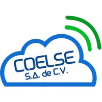 Coelse S.A. De C.V.