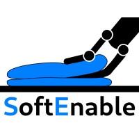 SoftEnable logo - Similar company to Intelliman Project