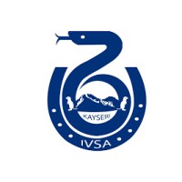 IVSA Kayseri logo - Similar company to Ivsa Damanhour