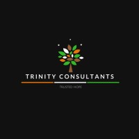 Trinity Consultant logo - Similar company to Bp Logistics