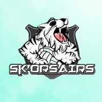 Liste BDS Sk'orsairs logo - Similar company to Bureau Des Sports - Skema Lille