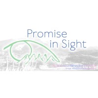Promise In Sight Inc