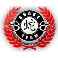 Snake Team MMA logo - Similar company to Le Sablier Isi