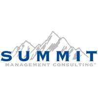 Summit Management Consulting, LLC logo - Similar company to Sempqic - Southeast Michigan Perinatal Quality Improvement Coalition
