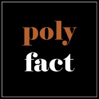 polyfact logo - Similar company to Protagoras-Permisapoints
