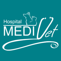 Hospital Medivet logo - Similar company to Maxi Mascotas Spa