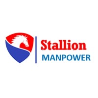 Stallion Manpower Services Ltd logo - Similar company to Wemanage Networks
