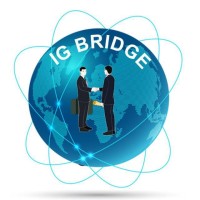 IGBRIDGE Solutions logo - Similar company to Anoroc Solutions