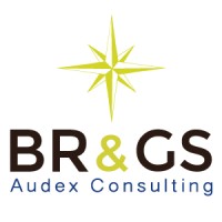 BR&GS Audex Consulting logo - Similar company to Mgi Guerra