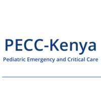 PECC-Kenya logo - Similar company to Vizuri360