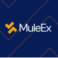 MuleEx logo - Similar company to Cloudenly