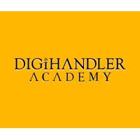 Digihandler Academy - Digital Marketing Institute Rohtak logo - Similar company to Vortex Labs