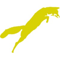 Agile Fox Recruitment Ltd logo - Similar company to Kriti Chitturi