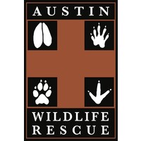 Austin Wildlife Rescue logo - Similar company to Redding Futures