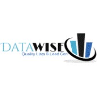 DataWise LLC logo - Similar company to Arbitrage Leads